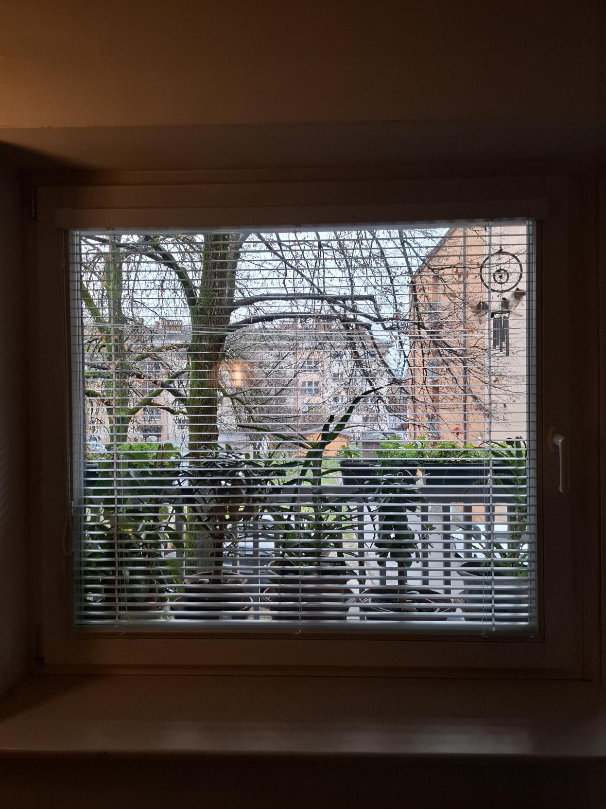 Notranje žaluzije modela ISOLINE montirane v Ljubljani leta 2025.